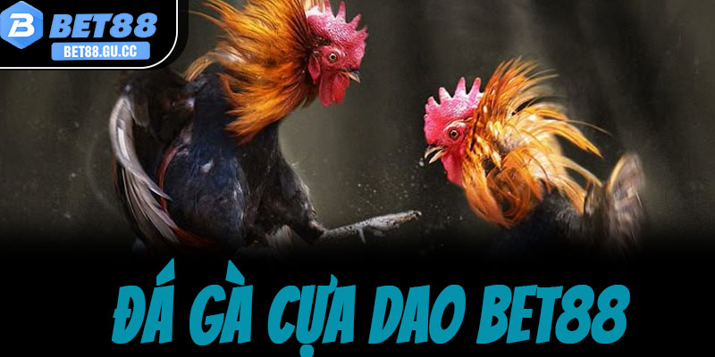 Đá gà cựa dao bet88 - Xem trực tiếp & kèo thơm mỗi ngày