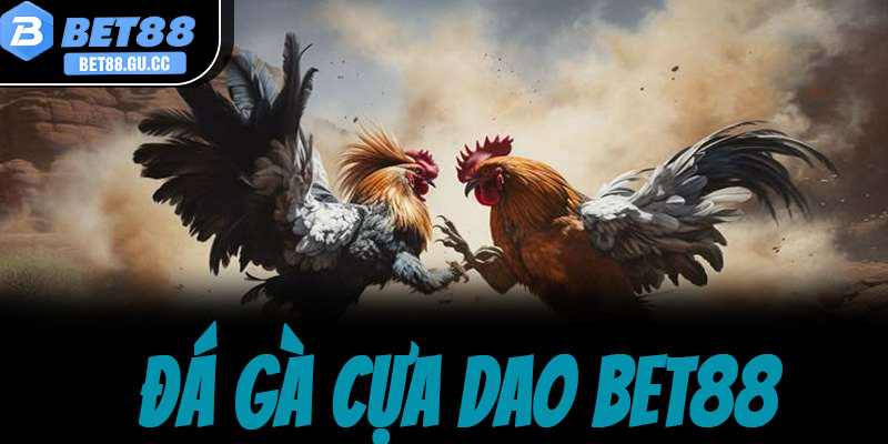 Giới thiệu tổng quan về hình thức đá gà cựa dao bet88